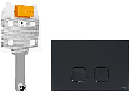 Cassetta WC Incasso con Doppia modalità di Scarico 6/3 Litri, Completa di placca di Comando WC Disponibile in Diverse colorazioni (Nero Opaco)