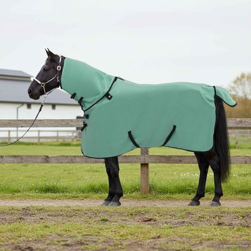 Ordellia Pferdedecke Sondergrün aus Polyester, 85 cm, atmungsaktiv und abnehmbar, für Stall, Weide und Paddock, Winterdecke mit Brustverschluss und Halsteil für den Außenbereich