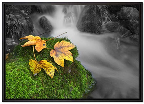 Pixxprint Waldbach Leinwandbild 100x70 cm im Bilderahmen, Wandbild, Schattenfugenrahmen, Kein Poster