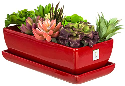 botle Keramik Blumentopf Blumenschale Kakteenschale Untersetzer Wasserloch Kakteen Bonsai Sukkulenten (rechteckig, rot)