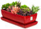 botle Keramik Blumentopf Blumenschale Kakteenschale Untersetzer Wasserloch Kakteen Bonsai Sukkulenten (rechteckig, rot)