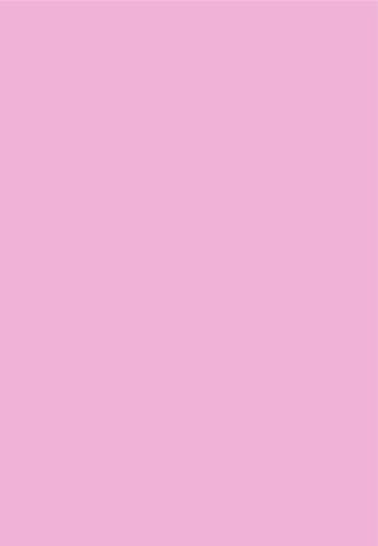 Generisch 10 Moosgummi-Platten 20x30 cm - Farben nach Wahl (rosa)