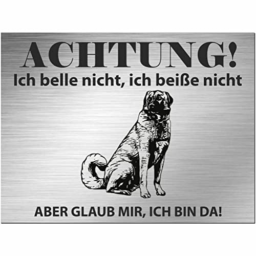Indigos UG - Schild Kangal Hirtenhund - bedruckt - Achtung Ich belle und beiße nicht, ich bin da! - Aluverbundplatte Edelstahl Look - 20x15 cm - Spruch - Deko Geschenkidee Hund - Zaun - Türschild