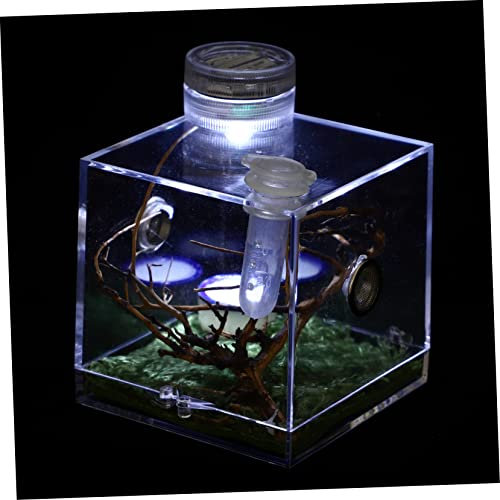 STOBOK Jumping Spider FüTterungsbox Aus Klarem Acryl Mit Klappbarem Futterloch FüR Springspinnen Und Andere Kleine Spinnen Terrarium ZubehöR 7X7X7Cm