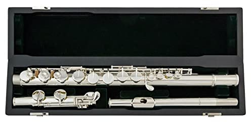 Flöteninstrument Gerades Kopfstück 16 Klappen G-Melodie Geschlossenes Loch Querflöte Neusilberklappen Musikinstrument Mit Koffer Professionelles Querflöten