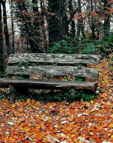 Puzzle 1000 Teile,Geschicklichkeitsspiel für die ganze Familie, Bank, Herbst, Park 70x50cm