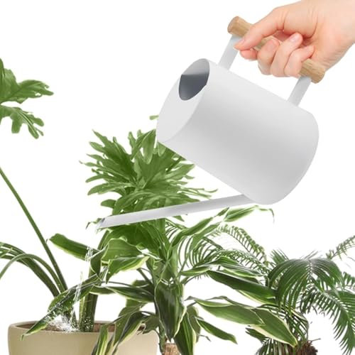 Regadera de acero inoxidable con caño largo y recto, maceta interior a prueba de fugas para plantas de interior, flores, regadera moderna para fácil cuidado de plantas, suculentas y decoración de