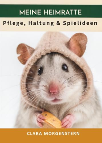 Meine Heimratte: Pflege, Haltung & Spielideen