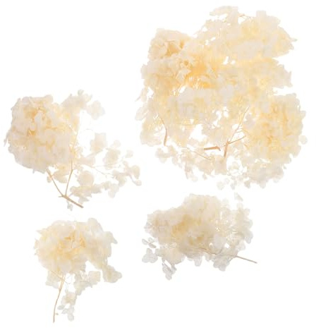 DIYEAH Fogliame di Ortensia Essiccato Conservato Naturale Pezzi Decorativi per Fai da Te Addobbi Matrimonio Festa e Centrotavola Eleganti