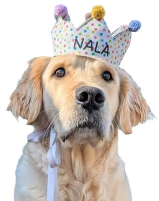 Generisch Geburtstag Krone Hund, personalsiert, Partyhut, Konfettikrone, Hundekrone, weiß mit bunten Punkten und Bommel (Groß)