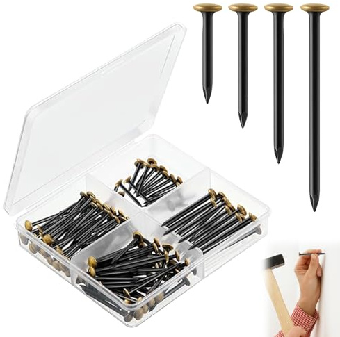120 Clavos De Acero Para Hormigón, Clavos De Acero Para Cuadros, Clavosde Acero Inoxidable Con Cabeza De Latón (20/25/30/40 mm), Dorada Para Hormigón, Práctica Caja De 4 Compartimentos