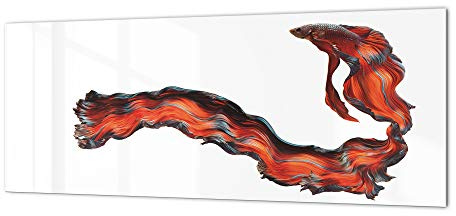 Modern Glass splashback - Tempered Kitchen Glass Panel Animals Series BBS11: