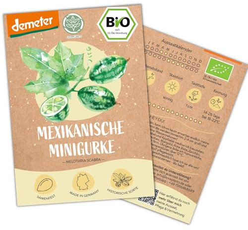 BIO Mexikanische Minigurken Samen, 10 Snackgurken Samen, hohe Keimrate, Demeter zertifiziert & samenfest | Gemüse Saatgut von LOVEPLANTS, für Balkon, Garten, Hochbeet – alte Gemüsesorten