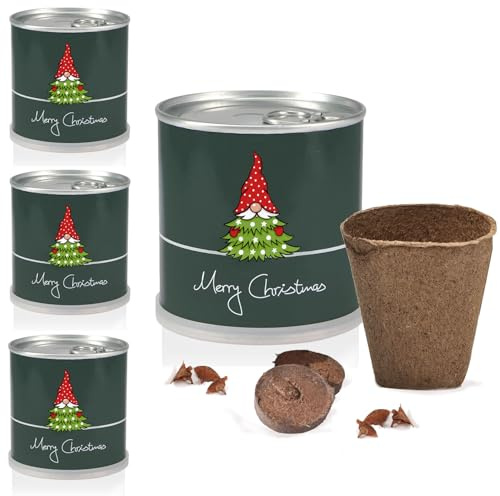 4x Ein MacFlowers Tannenbaum Anzuchtset Nordmanntanne, Alles enthalten, 10 Samen, Nachhaltig Schenken, Geschenk für Frauen und Männer, Adventskalender Wichteln