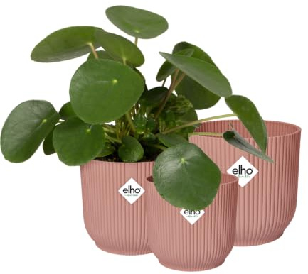 elho Vibes Fold Rund 14,16,18 Blumentopf - Zartrosa | ∅ 18.35 x H 16.8 cm | 2 Artikel Enthalten | für den Innenbereich | 100% recyceltes Plastik