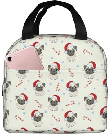 Bolsas de almuerzo aisladas para hombres y mujeres, trabajo, bolsa térmica suave con aislamiento para viajes, a prueba de agua, lonchera pequeña para adultos, para hombres y mujeres, bolsa de almuerzo