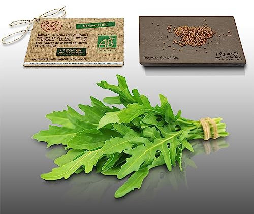 500 graines Bio à semer - Le Grenier d'Abondance - ROQUETTE - Certifié AB - Eruca Stiva