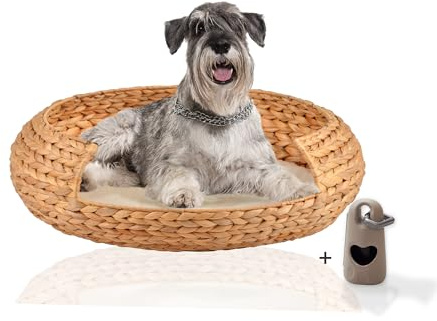 Rohrschneider Hundekorb, waschbares Kissen, XL (L 70 x B 70 x H 19 cm)