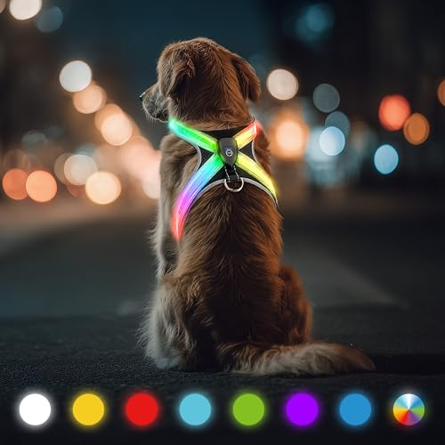 Leuchtgeschirr für Hunde - Aufladbar & Verstellbar Hundegeschirr LED | 3-Lagiges Air Mesh für Atmungsaktivität & Komfort Flexibel für Mittelgroße zu Große Hunde, Nachtsicherheit für Spaziergänge
