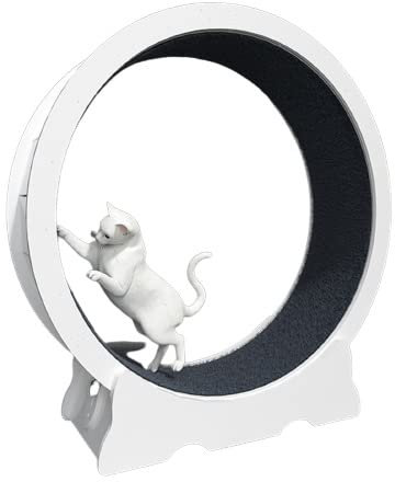 Katzenlaufrad Katzenlaufrad-Trainingsgerät für Hauskatzen, großes Katzen-Spinnrad-Trainingsgerät mit Teppichboden für längere Lebensdauer, Katzenlaufrad mit Bremse (Größe: 113 x 36 x 120 cm)