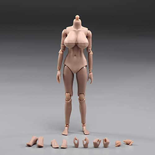 VUSLB Figura femminile da 1/12 Scale, 6 pollici, flessibile, Suntan Skin Action Figure Body Collectible (Huge Bust)