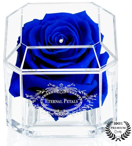 A 100% Real Rose That Lasts Years - Eternal Petals, Handmade in UK – White Gold Solo with A Clear Crystal (Dark Blue)