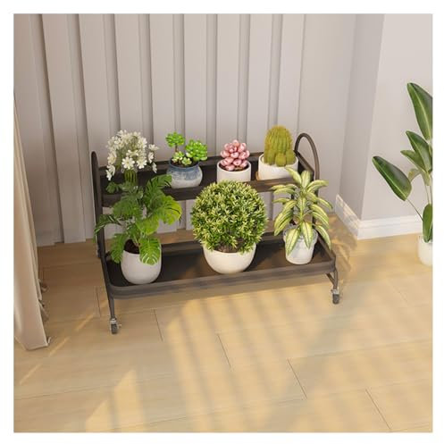 ZERVA Blumentopf-Präsentationsregal mit 2 Ebenen, Pflanzgefäßhalter aus Metall for den Innen- und Außenbereich, Zuhause, Terrasse, Rasen, Garten, Balkon, Organizer(Black)
