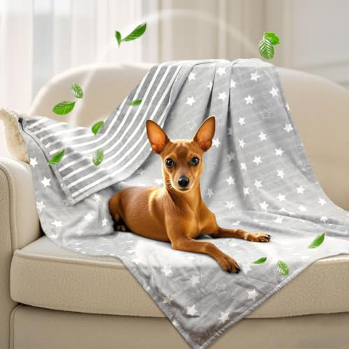 Deamoser Coperta rinfrescante per cani, leggera, autoregolante, per cani di taglia piccola e media, lavabile, per cani e gatti, coperte estive in seta ghiacciata per animali domestici, per casse e