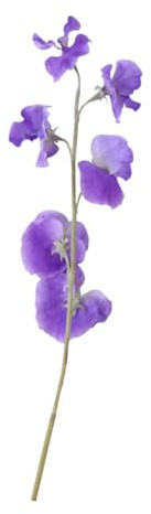 GLEAVI Simulation Pea Blossom Decorative Flower Fake Flower Purple for Living Home Adornment