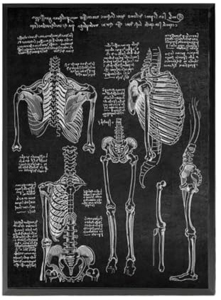 1 St Anatomikonst Vit Och Svart Medicinsk Dukmålning Blommaorgel Cardio Lung Affischutskrift Utbildning Sjukhus Heminredning