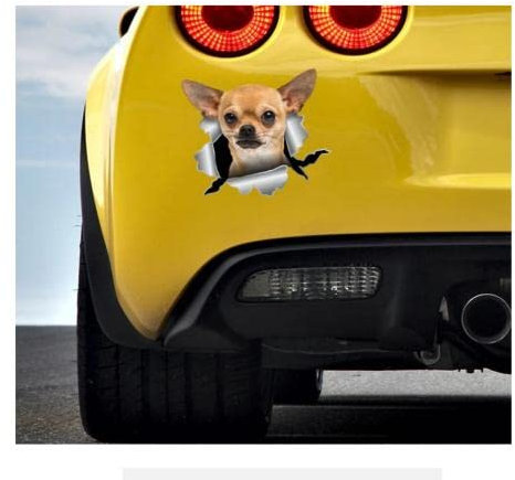 Autoaufkleber Hund Personalisiert 21Cm（8.6 Inches）Chihuahua Aufkleber Knurrender Chihuahua Aufkleber Chihuahua Autoaufkleber Chihuahua Autodruck Dame Autoaufkleber Mädchen Autozubehör Hund(def1m4101)