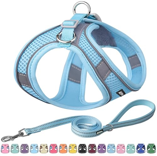 AIITLE Hundegeschirr, No-Pull Katzengeschirr mit Leine, Reines Blau XXXS | einstellbare reflektierende Hundeweste, Welpengeschirr fluchtsicher, Spaziergang im Freien für kleine Hunde und Hauskatzen