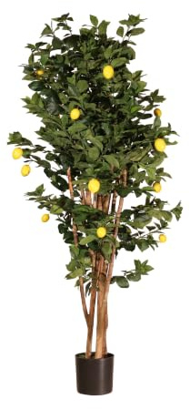 naturing monde Árbol Artificial Limonero 180 cm | Planta Artificial con Tronco Natural y Frutos Realistas en Maceta | Planta Decorativa Interior para Salón, Oficina y Recepción