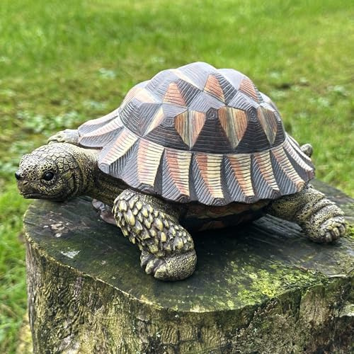Animal Crackers realistic Tortoise figurine novelty home or garden decoration, length 20cm, gift boxed