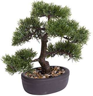 Unbekannt künstlicher Bonsai in brauner ovaler Keramikschale (32 cm, Ceder)