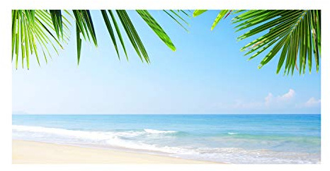 Tulup Splashback 39.37x19.68 inch / 100x50cm Wall Protection Tempered Glass Kitchen Panel Toughened Safe Glass Panel Protection Induction Cooker Kitchen Splash-back - Green - tropical beach