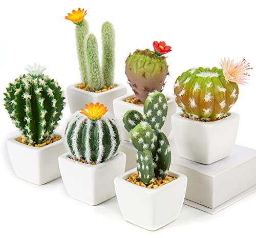 Oairse Set mit 6 Kunstpflanze Kaktus grün im Blumentopf, kleine Steine füllen Mini dekorative künstliche Sukkulenten im Topf Kunstblumen für Home Office Raumdekoration