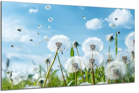 DARO Design - Wand-Bild auf 6mm HDF 40x30 cm Blumenwiese Löwenzahn Pusteblume - Wand-Deko Bilder Geschenk