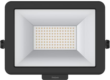 Theben 1020688 theLeda B50L BK projecteur à LED 50 W 5000 K extérieur | 6140 lm, IP 65, rotation 360°, modules mouvement/luminosité en option, noir, blanc neutre