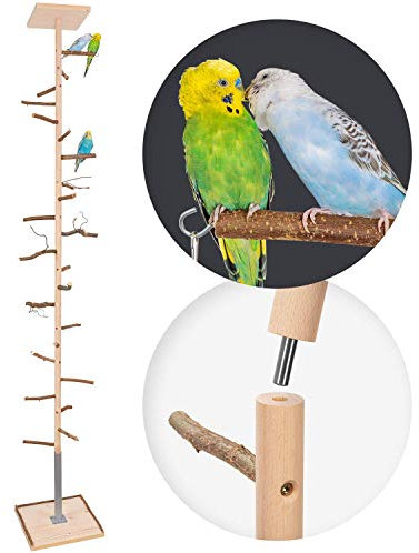 Vogelgaleria® Zimmerhoher Vogel Kletterbaum selbst konfigurierbar mit Naturholz-Sitzstangen, Vogelspielzeug, Vogelschaukel | Vogelspielplatz und Freisitz für Wellensittich, Nymphensittich & Co.