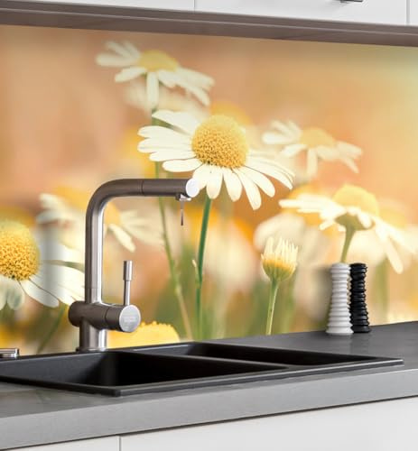 MyMaxxi Küchenrückwand selbstklebend – Matte, 0,4 mm Premium Spritzschutz Folie günstige Alternative zu Glas, einfache Montage & leichte Reinigung – Motiv: Blumenwiese Margeriten B 120 cm x H 60 cm