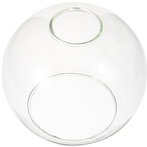 Holibanna Clear Glass Pendant Light Shade Replacement 5.91In Globe Lamp Cover for Indoor Lighting Fixtures Modern Lampshade