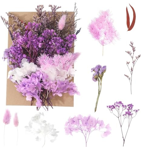 Bolosa Deep Purple Natural Dried Pressed Flowers and Leaves for Crafts | Real flowers vary naturally in size and colour; suitable for resin jewellery, candles, cards, scrapbooks and home décor