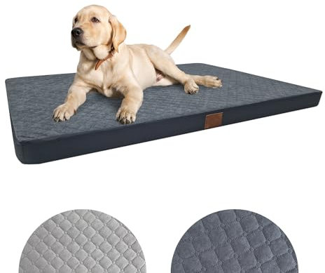Odolplusz Orthopädisches Hundebett Grosse Hunde | Hundekissen für mittelgroße und große Hunde | Hundematratze mit Waschbarem Bezug | (Graphit, 120x80x7cm)