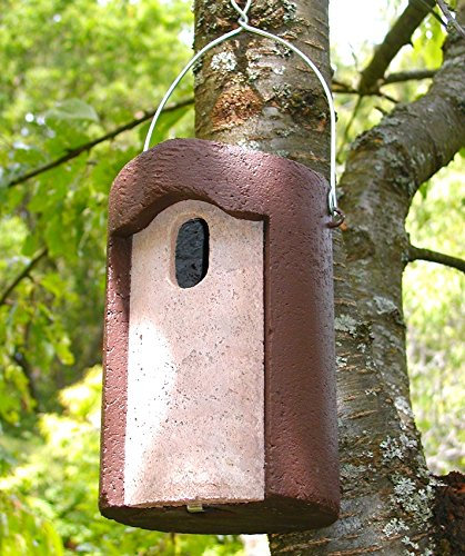 Naturschutzprodukt Nisthöhle Typ 1B Flugloch oval Satz 2 Stück aus Holzbeton