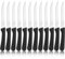 targzier Steakmesser Set,12 Stück Gezacktes Steakbesteck,Edelstahl Steak Messer für Haus Restaurant Hotel,Hochwertige Pizzamesser Set,Rostfrei Tafelmesser,Spülmaschinenfest