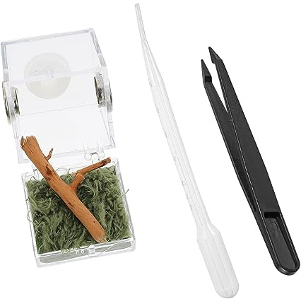 EXAOMBLE Reptilien Zuchtbox Transparent für Spinnen Geckos Schlangen und Insekten Praktische Aufbewahrung für Haustiere und Futter für Terrarien und Transport