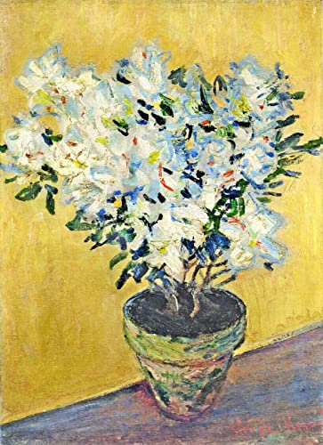 5D DIY Diamant Malerei Kits Weiße Azaleen in einem Topf Claude Monet Kreuzstich Mosaik Stickerei Strass Voller Rundbohrer Manuelle Hobby Wohnkultur 40x50cm