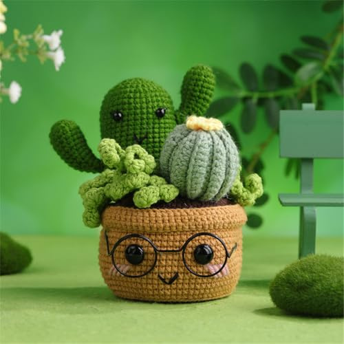 Meecaa Cactus Plant Crochet Kit for Beginners Adults and Professionals DIY Crochet Kit Accessories, Ideal Creative DIY Gift for Craft Lovers, Includes Video Tutorial, Instructions (Cactus)
