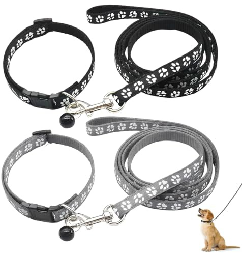 UYVPAER 2 Stück Welpenhalsbänder Mit Leine Set, Hundehalsband Und Leine Verstellbares Hundehalsband Weich Nylon Haustier Halsband Für Welpen Kleine Mittlere Hunde(B)